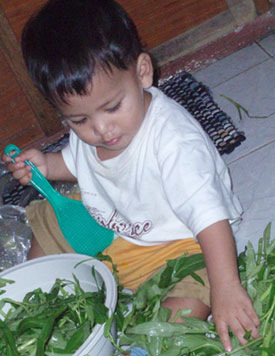 benezra-mei-2009 benezra-mei-2009