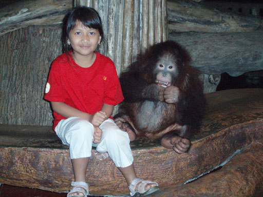 bb-at-baby-zoo-taman-safari