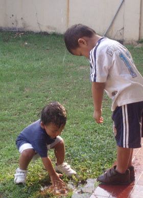 be-ben-at-the-back-yard1