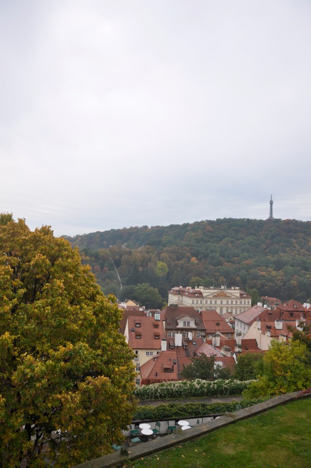 _DSC0828 - Version 2